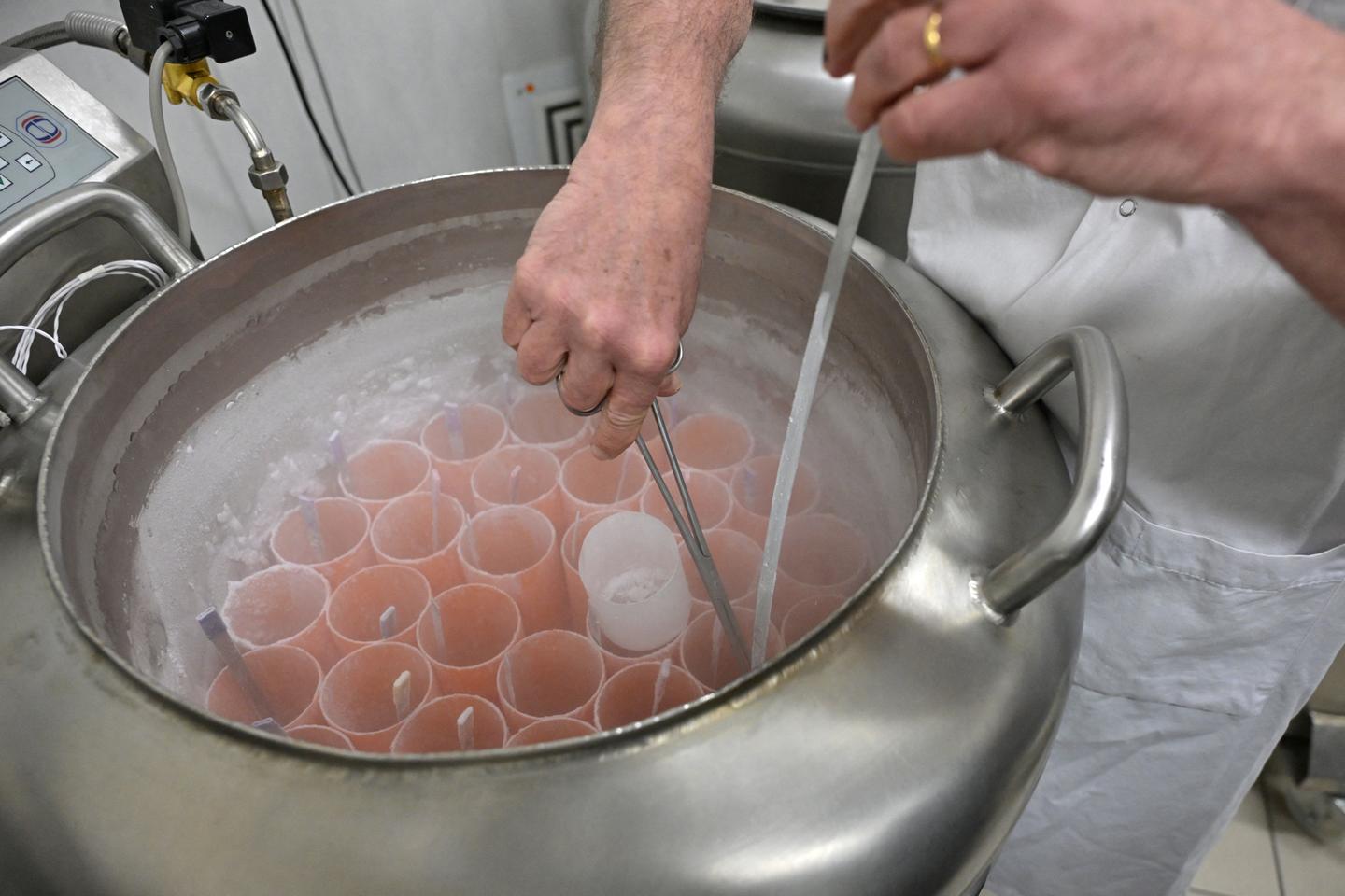 3月31日以降、30,000の精子キラキラを使用できなくなりました