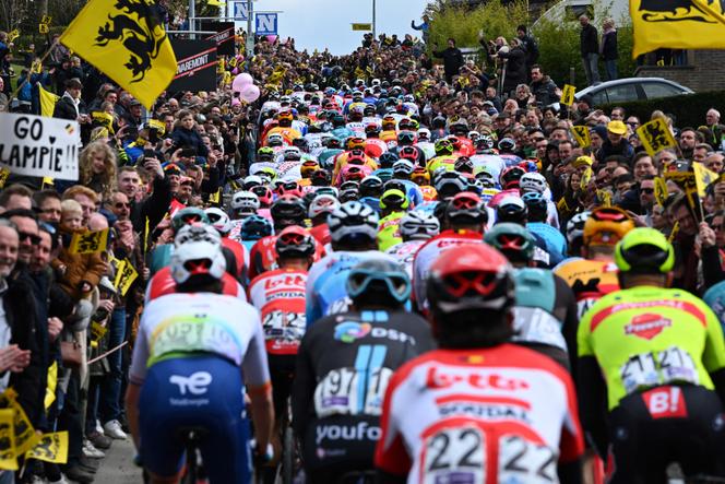 The peloton during the <a href=