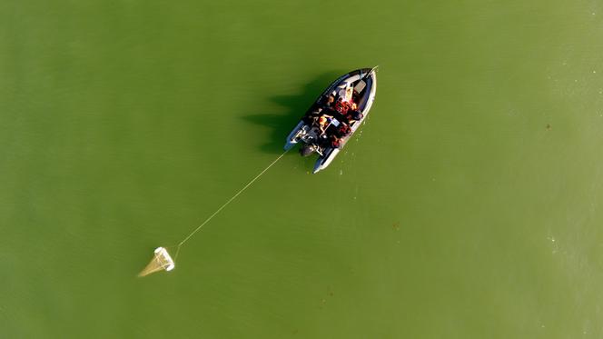 Echantillonnage à l’aide d’un filet manta sur le Tibre, Italie, le 12 septembre 2019.