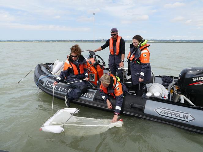 Prélèvement à l’aide d’un filet manta sur la Seine, le 20 juillet 2019.