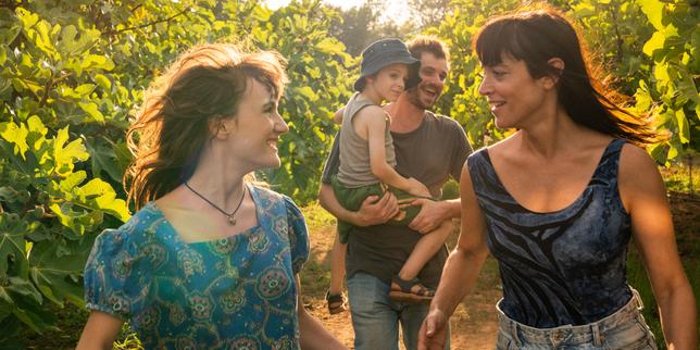 « Mikado » : un été, deux familles en bout de course