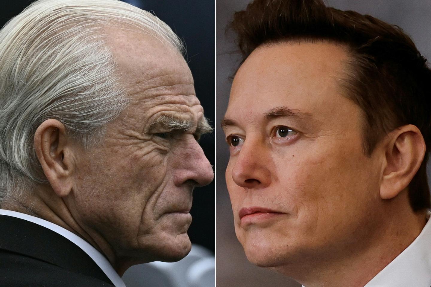 Musk calls top Trump trade advisor Peter Navarro a 'moron'