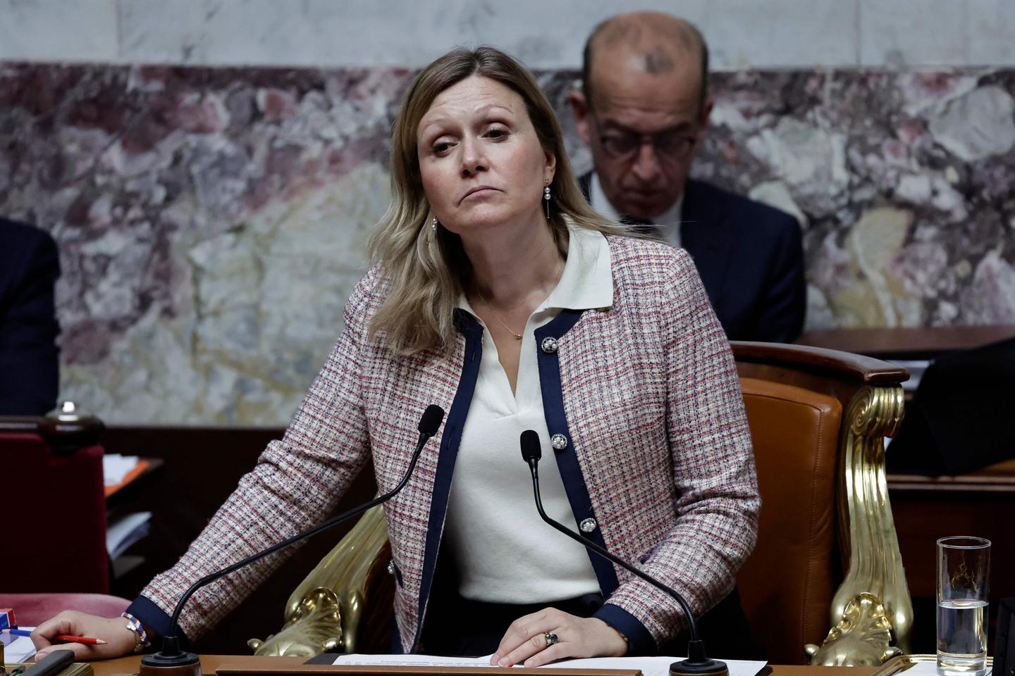 Macron ally admits 'immense disappointment' over presidency