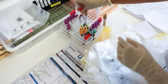 « L’accélération actuelle de l’épidémie de chikungunya à La Réunion peut évoquer la flambée de 2006 » thumbnail