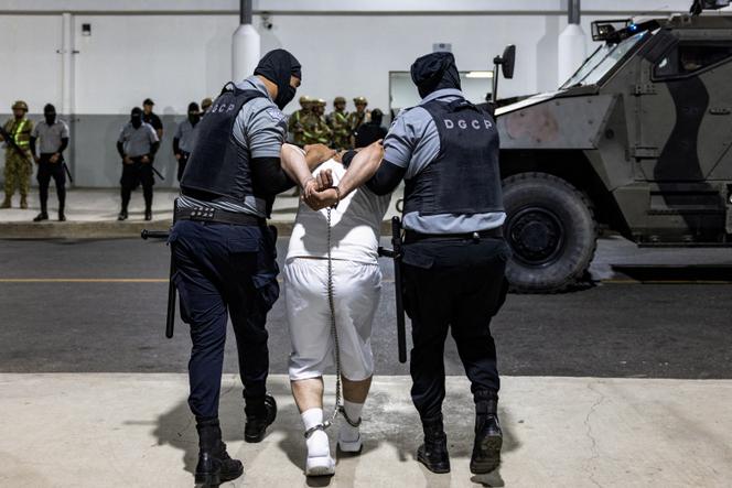Images Le Monde.fr