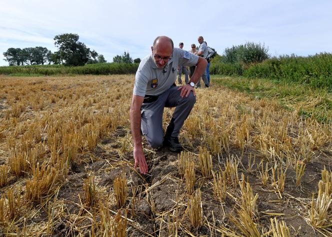 Un membre de l’Office français de la biodiversité (OFB) inspecte un champ asséché, à Herzeele (Nord), le 2 août 2022.