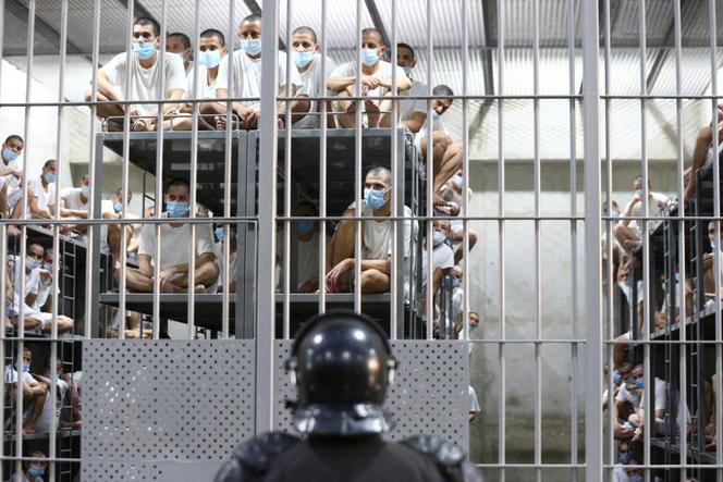Images Le Monde.fr