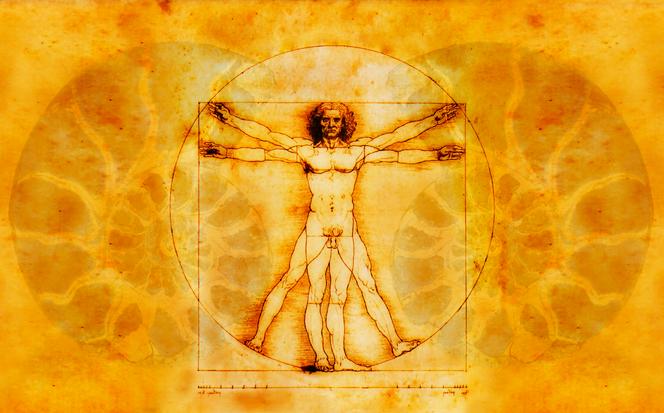 L’homme de Vitruve, par Léonard de Vinci
