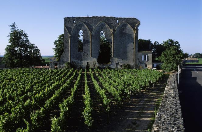 Les Grandes Murailles de Saint-Emilion, vestiges d’un couvent du XIIIᵉ siècle, dans le célèbre village girondin.