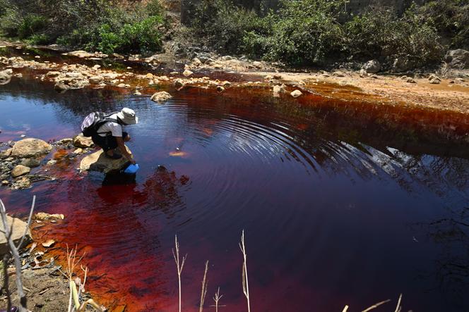 Une militante écologiste prélève un échantillon d’eau de la rivière San Sebastian, polluée par l’activité minière à Santa Rosa de Lima (Salvador), le 28 février 2025. 