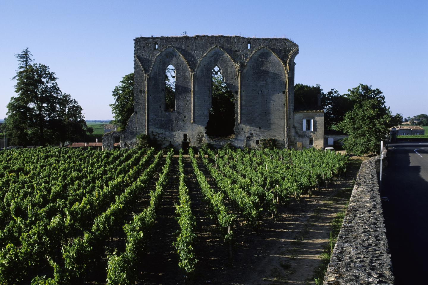 La révolution de palais du vignoble bordelais