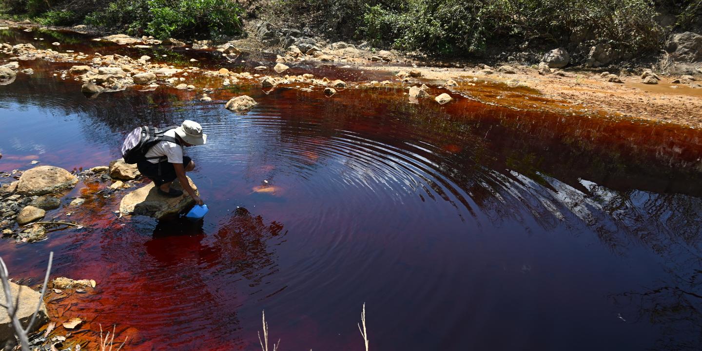 Un sixième des sols agricoles dans le monde pollué par des métaux toxiques