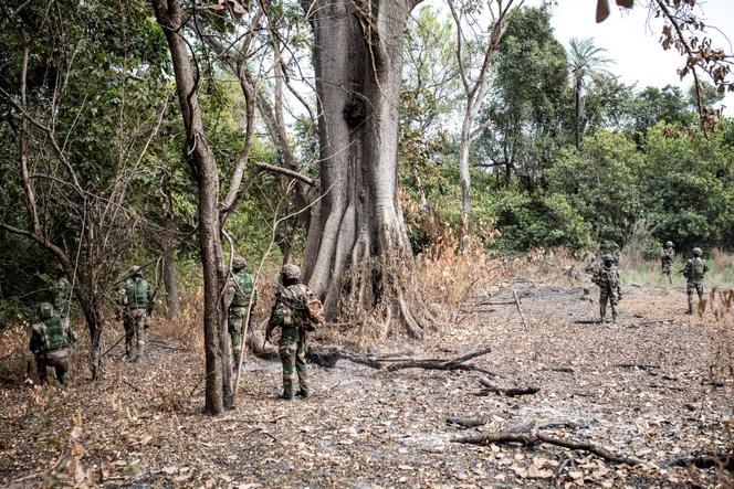 Des militaires sénégalais lors d’une opération en Casamance, le 9 février 2021.