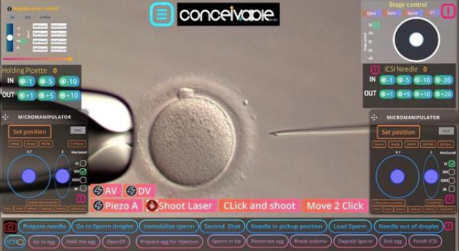 Image de ce que voit l’opérateur lors de l’ICSI automatisée et contrôlée à distance : deux outils micromanipulateurs (micropipettes de contention et d’injection) de part et d’autre d’un ovocyte mature. Des boutons correspondant aux nombreuses étapes de la procédure se trouvent en bas de l’écran.