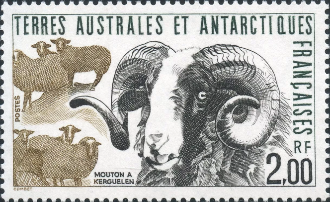 « Mouton à Kerguelen », timbre dessiné et gravé par Jacques Combet, paru en 1989.