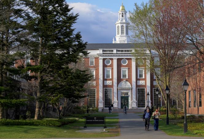 Dans les allées de l’université de Harvard à Cambridge (Massachusetts), le 15 avril 2025.