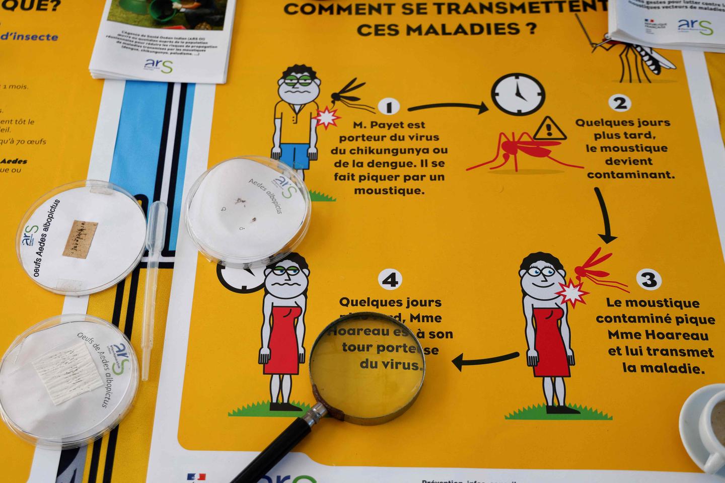 Pour anticiper la prochaine épidémie de chikungunya, « l’accès aux vaccins doit être organisé précocement, gratuitement et de manière ciblée »