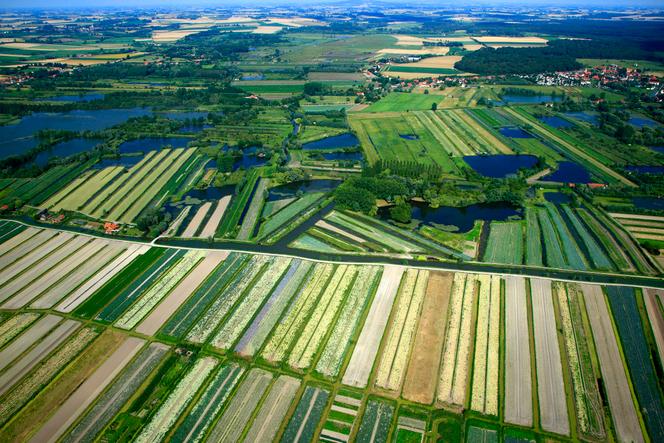 Marais audomarois ou Marais de Saint-Omer (Pas-de-Calais).