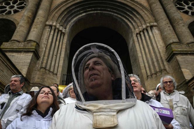 Lors d’une manifestation contre la loi Duplomb, à Toulouse, le 27 avril 2025.