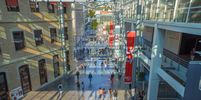 Dans les écoles de commerce, la bataille des oraux pour séduire les candidats thumbnail