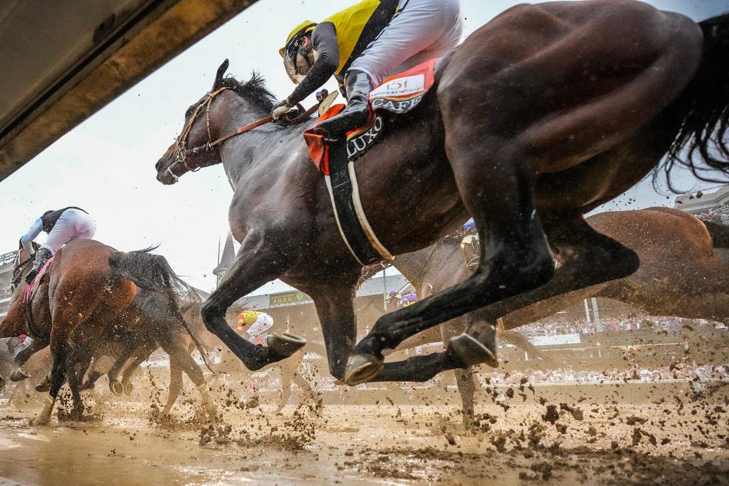 Sovereignty rules in 151st Kentucky Derby