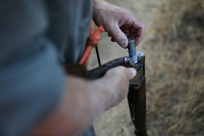 Un chasseur charge son fusil de chevrotines avant une chasse au sanglier, à Pietrosella (Corse-du-Sud), le 16 août 2020.