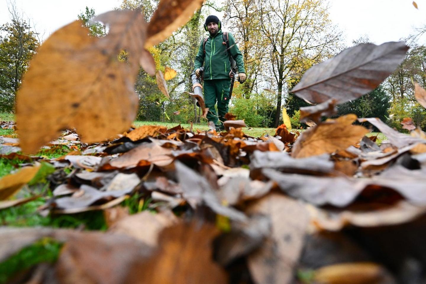 In Zurich, the leaf blower war or the anti-'woke' backlash
