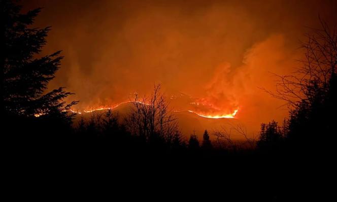 Incendie de forêt dans le parc forestier de Galloway, en Ecosse, le 4 avril 2025.