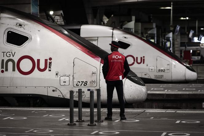 Des TGV de la SNCF à la gare Montparnasse, à Paris, le 6 mai 2025.