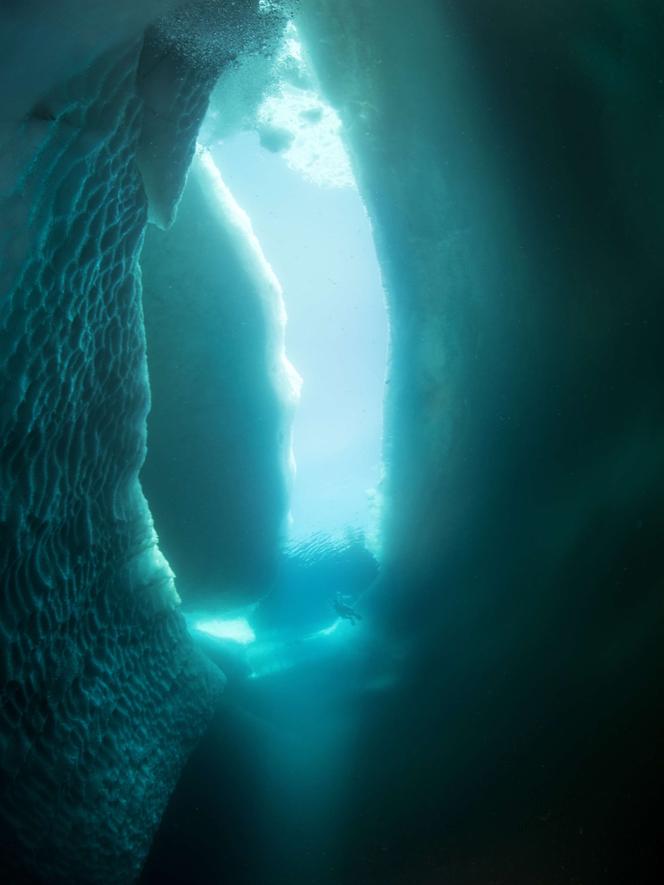 Photographie sous-marine d’un iceberg dans l’océan Arctique, en juin 2017.