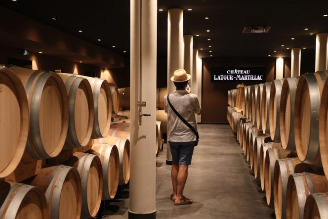 Lors d’un week-end portes ouvertes dans le vignoble du Château Latour-Martillac, à Martillac, en Gironde, le 11 juin 2022.