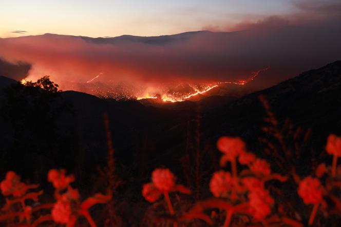Incendie dans la forêt nationale de Sierra, dans le comté de Fresno, en Californie, le 26 juin 2024.