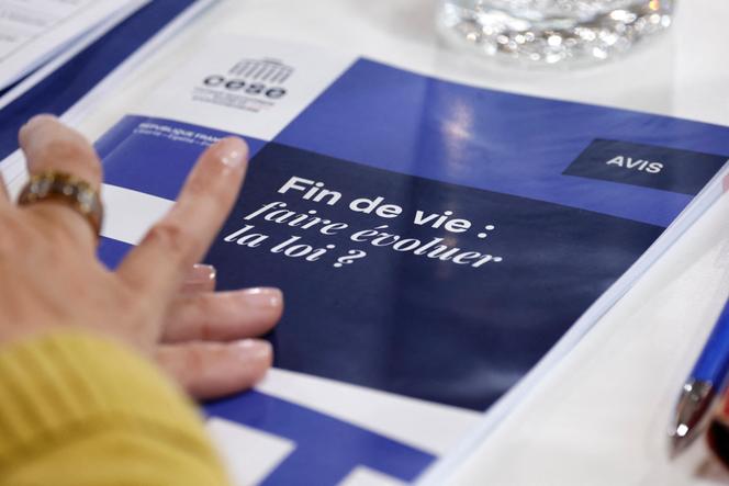 Un rapport sur la fin de vie présenté au Conseil économique, social et environnemental, à Paris, le 26 avril 2024.