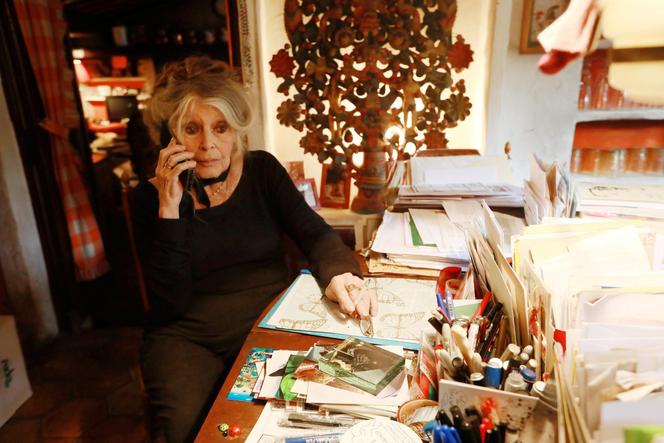L’actrice et militante pour les droits des animaux Brigitte Bardot, à Saint-Tropez, dans le Var, le 1er novembre 2017.