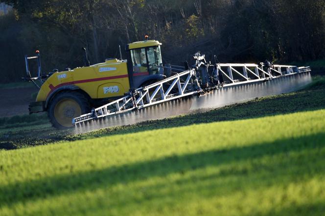Un pulvérisateur de 36 mètres de large répand de la Lambdatine, un insecticide racinaire mélangé à du Foburi, un herbicide, près d’Illiers-Combray, le 14 novembre 2024.