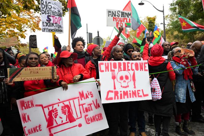 Dans le cortège d’une manifestation contre la vie chère, des panneaux sont brandis contre l’utilisation du chlordécone, à Paris, le 10 novembre 2024.