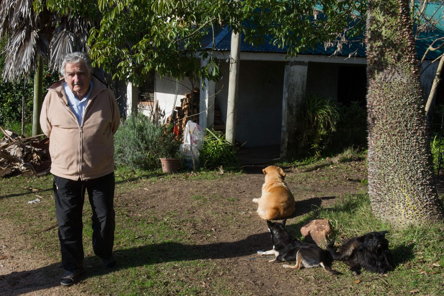 Beloved former Uruguayan President José Mujica has died at 89