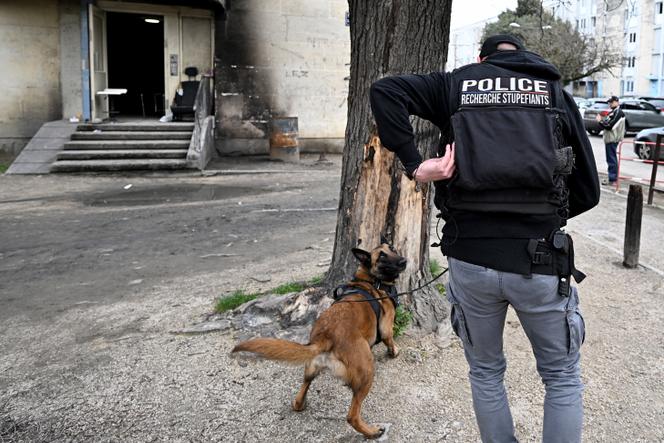 Un policier anti-drogue effectue un contrôle, à Avignon, le 13 mars 2025.