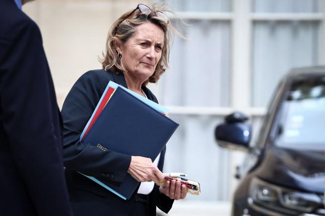 La porte-parole du gouvernement, Sophie Primas, membre des Républicains (LR), à l’Elysée à Paris, le 15 mai 2025.