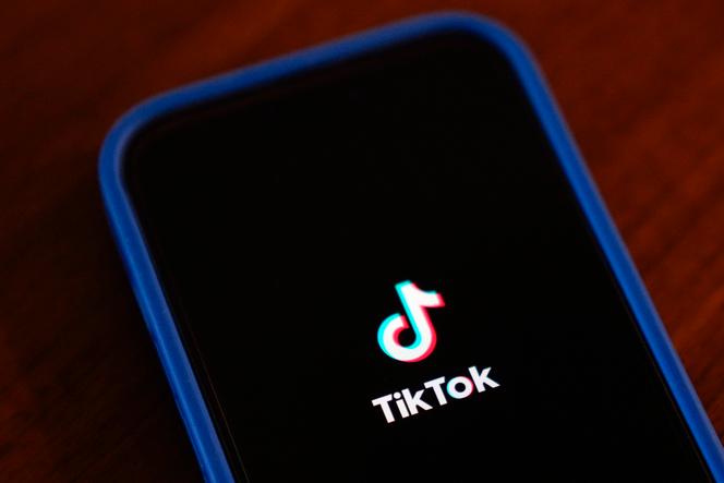 La commission d’enquête parlementaire sur TikTok doit rendre son rapport en septembre 2025.