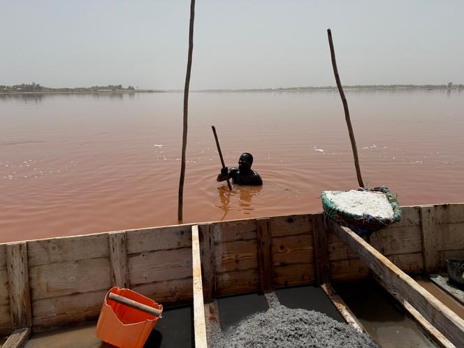 Ousmane Dembélé récolte du sel dans le lac Rose, au Sénégal, le 15 mai 2025.