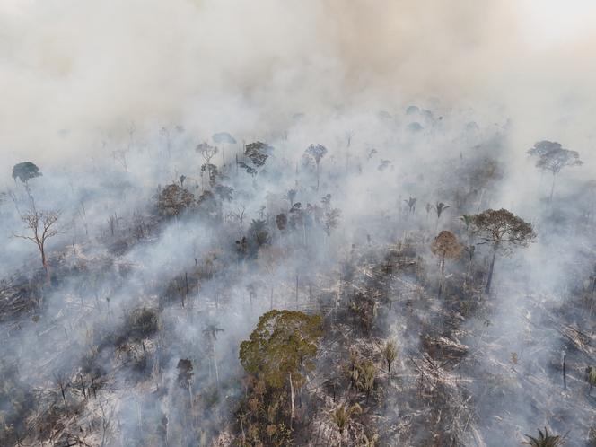Vue aérienne d’un incendie de forêt en Amazonie, à Labrea, dans l’Etat de l’Amazonas, au Brésil, le 4 septembre 2024.