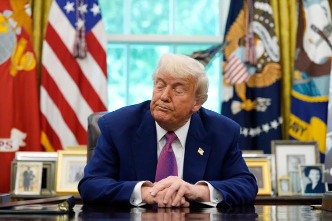 Donald Trump, à la Maison Blanche, le 20 mai 2025.