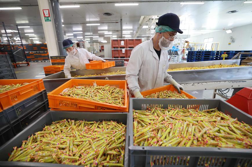 A l'usine de production des Carambar, à Bondues (Nord), le 20 mai 2025.