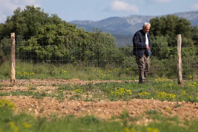 Un homme observe un site identifié comme ayant abrité les tombes de harkis, près du Mémorial du camp de Rivesaltes, (Pyrénées-Orientales), le 28 avril 2025.