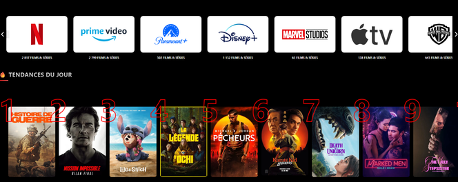 Capture d’écran du site de streaming illégal Vizix (le nom a été modifié) le 23 mai 2025.