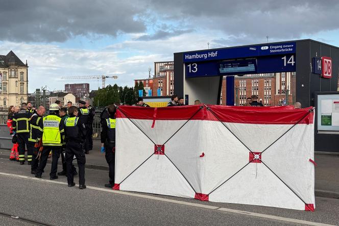 Une douzaine de personnes ont été blessées lors d’une attaque au couteau dans la gare centrale de la ville de Hambourg, dans le nord de l’Allemagne, le 23 mai 2025, ont fait savoir la police locale et les pompiers.