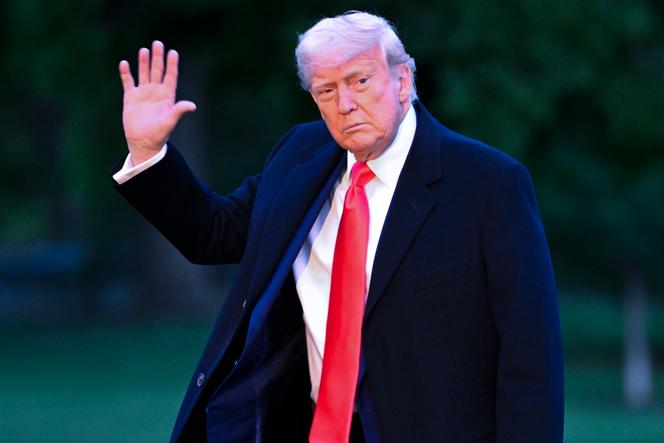 🟥 "Le Borse europee affondano: Trump minaccia tariffe del 50% sull'UE"