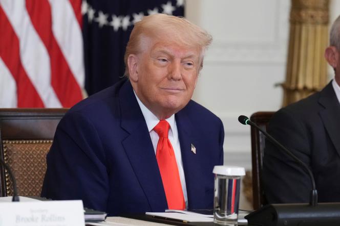 Le président américain, Donald Trump, à la Maison Blanche, à Washington, le 22 mai 2025.