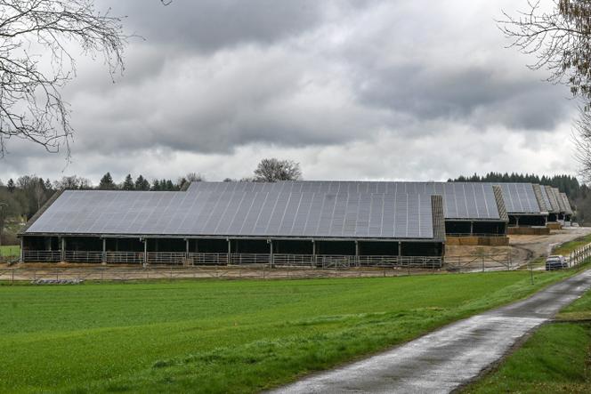 Ferme d’engraissement T’Rhéa à Peyrilhac (Haute-Vienne), le 6 mars 2024.